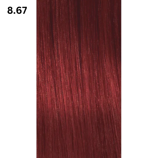 Insight Incolor - Vopsea INSIGHT Incolor ROSSI 